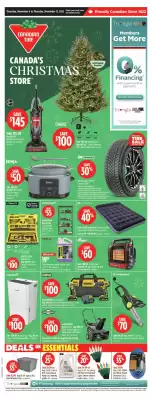 Canadian Tire flyer