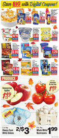IGA weekly ad week 45 Page 4