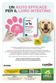 Volantino L´Isola dei Tesori Pagina 16