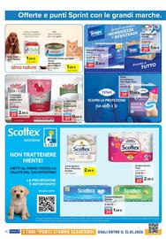 Volantino Carrefour | Punti Sprint Payback Pagina 20