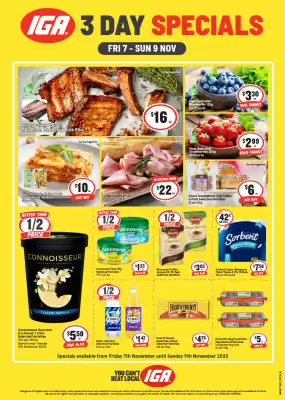IGA catalogue (valid until 9-11)