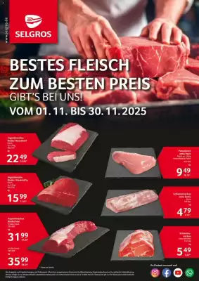 Selgros Prospekt (gültig bis 30-11)