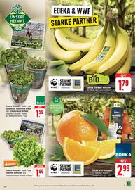 SBK Prospekt woche 45 Seite 5