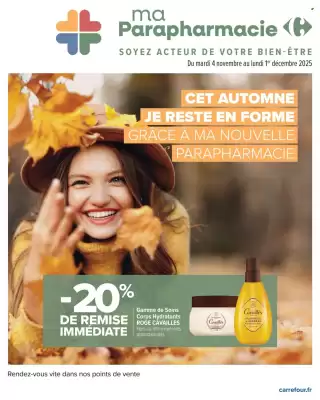 Catalogue Carrefour (valable jusqu'au 1-12)