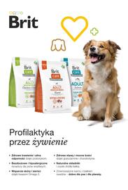 AquaelZOO gazetka Strona 16