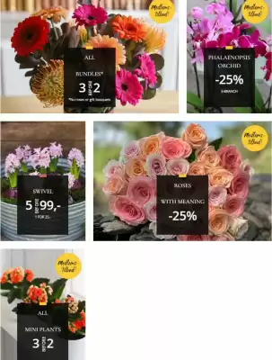 Floriss kundeavis (gyldig til 9-11)