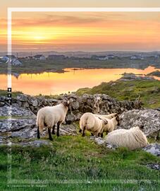 AS Adventure folder Pagina 8