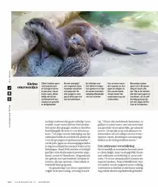 AS Adventure folder Pagina 100