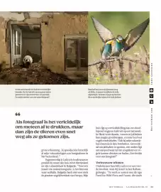 AS Adventure folder Pagina 55