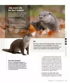 AS Adventure folder Pagina 99