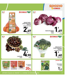 Volantino Spazio Conad settimana 46 Pagina 7