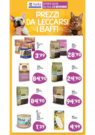 Volantino Ayoka Pagina 10