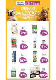 Volantino Ayoka Pagina 11