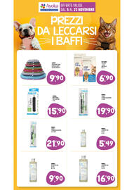 Volantino Ayoka Pagina 12