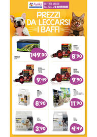 Volantino Ayoka Pagina 13