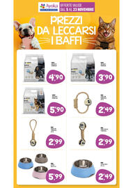 Volantino Ayoka Pagina 14