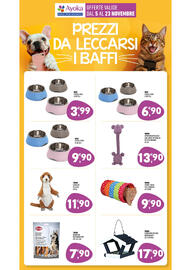 Volantino Ayoka Pagina 15