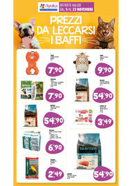 Volantino Ayoka Pagina 16