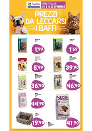 Volantino Ayoka Pagina 17