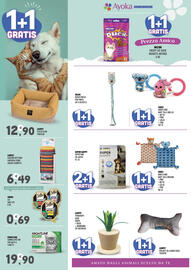 Volantino Ayoka Pagina 2