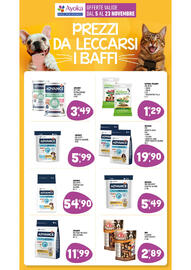 Volantino Ayoka Pagina 9