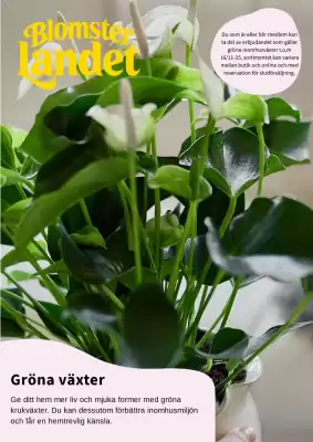 Blomsterlandet reklamblad (giltig till och med 16-11)