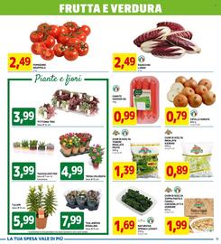 Volantino DPiù Pagina 11