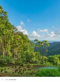 Folheto MSC Cruzeiros Página 24