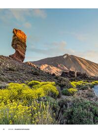 Folheto MSC Cruzeiros Página 30