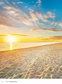 Folheto MSC Cruzeiros Página 64