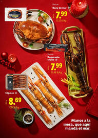Catálogo Lidl | Navidad Página 19