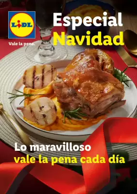 Catálogo Lidl (válido hasta el 31-12)