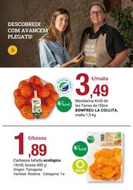 Folleto BonpreuEsclat Página 41