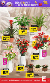 Polomarket gazetka tydzień 45 Strona 11