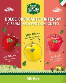 Volantino Tigre Amico Pagina 2