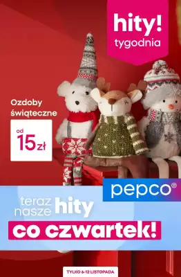 Pepco gazetka (ważność do 12-11)
