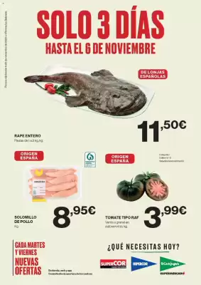 Catálogo Viajes El Corte Inglés (válido hasta 6-11)