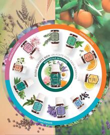 Catálogo Biogreen Página 100