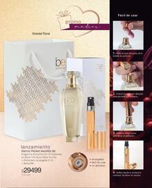 Catálogo Biogreen Página 115