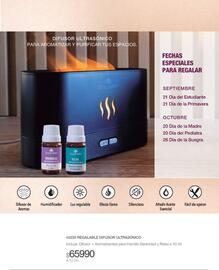 Catálogo Biogreen Página 117