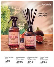 Catálogo Biogreen Página 19