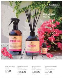 Catálogo Biogreen Página 21