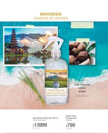 Catálogo Biogreen Página 28