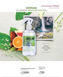 Catálogo Biogreen Página 31