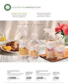 Catálogo Biogreen Página 36