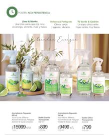 Catálogo Biogreen Página 38