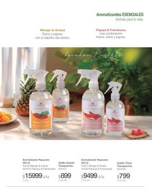 Catálogo Biogreen Página 39