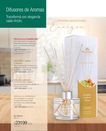 Catálogo Biogreen Página 40