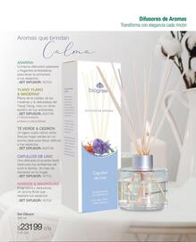 Catálogo Biogreen Página 41