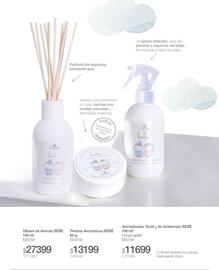 Catálogo Biogreen Página 62